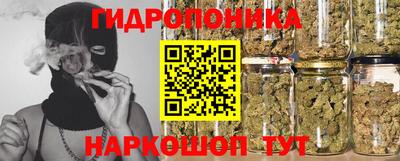 гидропоника Кингисепп