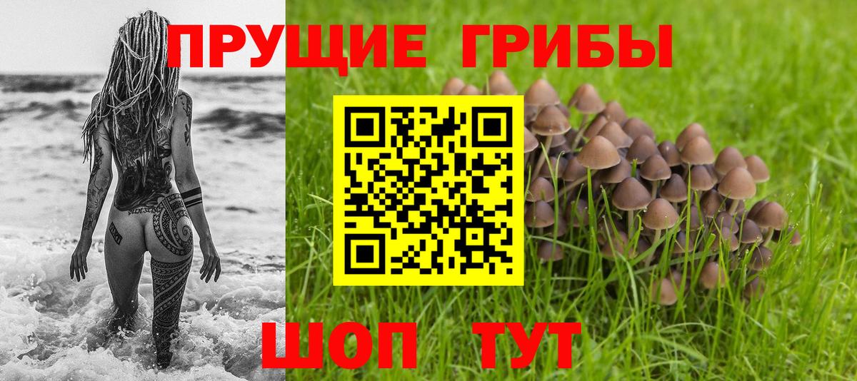 Галлюциногенные грибы мицелий Конаково