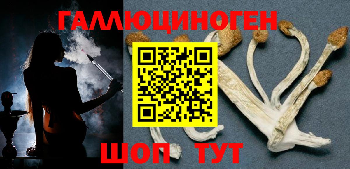 Галлюциногенные грибы прущие грибы  закладка  Конаково  Вход с VPN 